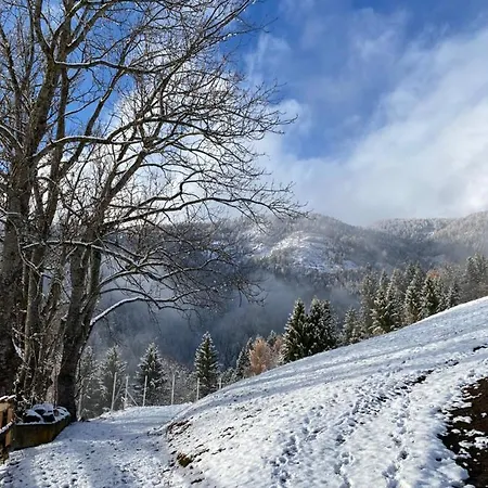 Southern Stables - Ruhe & Mit Pferden In Osttirol * Bannberg