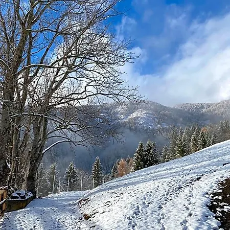Apartment Southern Stables - Ruhe&natur Mit Pferden In Osttirol Bannberg