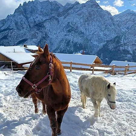 Apartment Southern Stables - Ruhe&natur Mit Pferden In Osttirol *