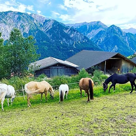 Southern Stables - Ruhe&natur Mit Pferden In Osttirol